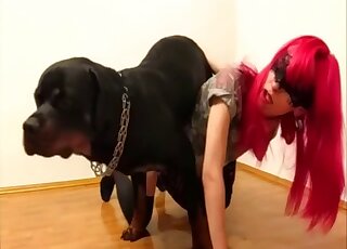Pet fuck with a divine cutie and her beast