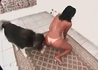 Fit chick and her pup having awesome sex