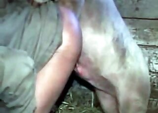 Intense zoophilic action with a white pig